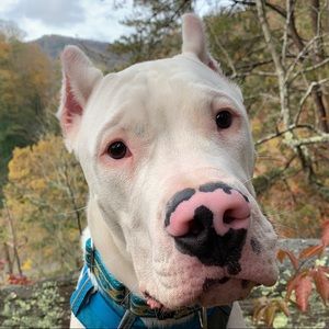 Meet your Posher, Mika